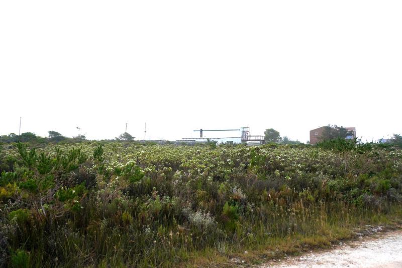 0 Bedroom Property for Sale in Bettys Bay Western Cape